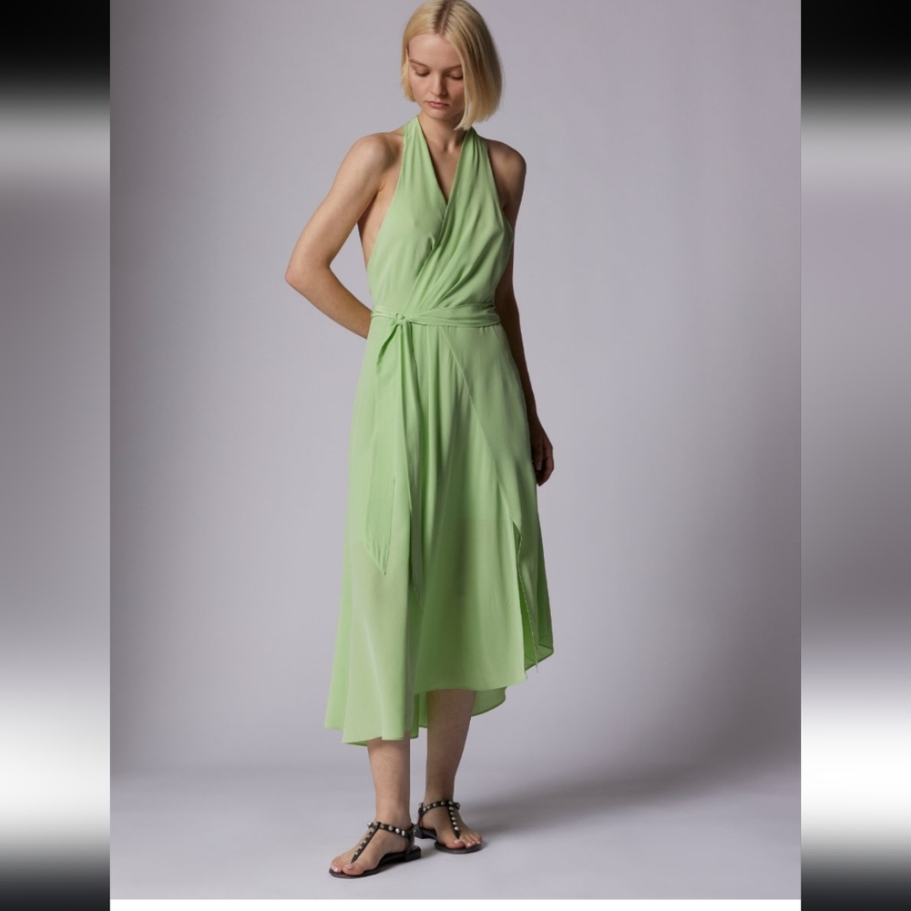 Alejandra Midi Silk Dress By Dress The Population, Pistachio Green, Size 0, NWT - Picture 6 of 9